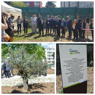 8 mai 22 Jardin interreligieux Caluire.jpg